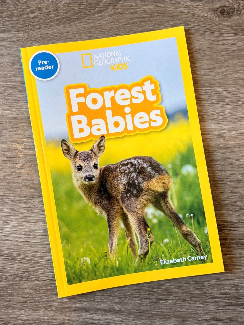 Forest Babies paperback book